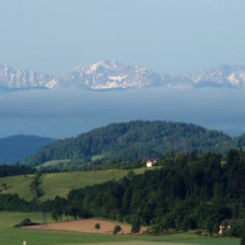 Taggenbrunn – das Weingut zwischen Alpen und Adria - (c) Jörg Bornmann