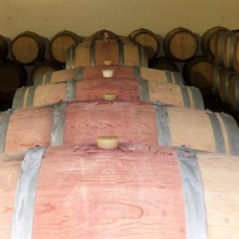 Mehr als 250 heimische Rebsorten und unzählige Weingüter produzieren herausragende Weine in Portugal - (c) Sabine Zoller