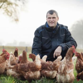 Warum an Weihnachten mehr Eier gekauft werden als an Ostern, Ein Interview mit Bioland-Landwirt Klaus Bird - (c) Bioland