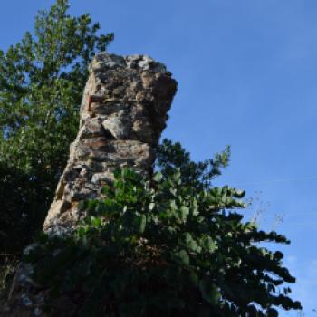 Ein besonderes Erlebnis ist das Weinberg-Trekking. Eine geführte Wanderung durch die Weinberge und Olivenhaine des Weinguts mit einer Verkostung inmitten der Rebstöcke - (c) Gabi Vögele