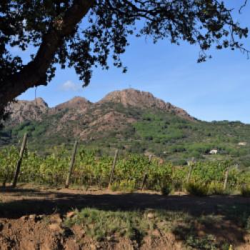 Das Weingut blickt auf eine lange Geschichte zurück, hatte aber in den 1970er Jahren einen historischen Tiefpunkt, als nur noch 2 ha bewirtschaftet wurden - (c) Gabi Vögele