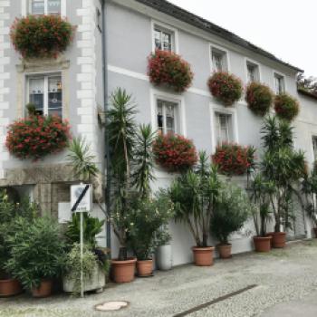 K&K - Kulinarik und Kultur in der siebtgrößten Stadt in Österreich - Wels in Oberösterreich - (c) Gabi Dräger