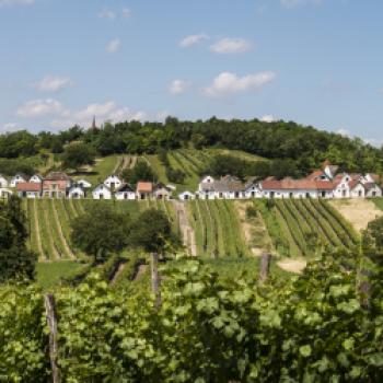Die Kellergassen werden heute vor allem für Weinfeste genutzt, wo man die Tradition und die lange Geschichte des Weines spüren kann - (c) Weinkomitee Weinviertel/Petr Blaha
