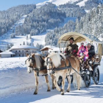 Familienparadies Sporthotel Achensee - Kutschfahrt