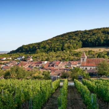 Via mosel‘ wird am 3. und 4. Juli mit einem großen Event eröffnet - (c) Via mosel‘