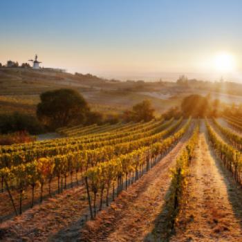 Und so klingen die Tage im Weinviertel genussvoll aus - Weinkomitee Weinviertel/Robert Herbst