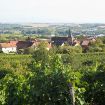 Ein Blick auf Schweigen in der Pfalz - (c) Jörg Bornmann