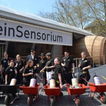 Das Team des WeinSensoriums freut sich auf Ihren Besuch