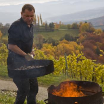 Feinschmeckerparadies Südsteiermark mit 61 Gault & Millau-Hauben ausgezeichnet - (c) Steiermark Tourismus