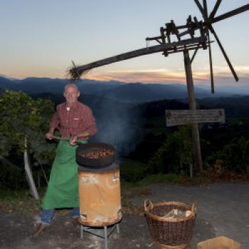 Feinschmeckerparadies Südsteiermark mit 61 Gault & Millau-Hauben ausgezeichnet - (c) Steiermark Tourismus, Harry Schiffer