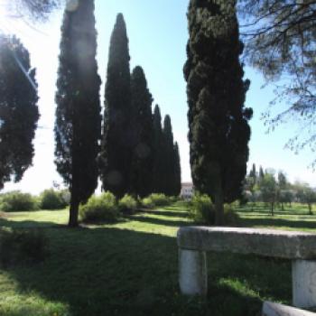 Weingut Tenuta di Squarano der Marchesi Fumanelli - Herausragende Weine aus dem Valpolicella-Gebiet (Verona) - (c) Tenuta di Squarano