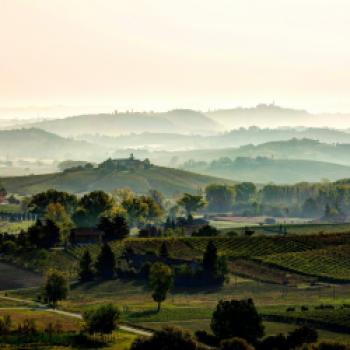 Die Weinproduktion des Monferrato erreicht neue Meilensteine - Piemont Weindaten 2021 - (c) Consorzio Barbera d'Asti e Vini del Monferrato