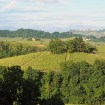 Eine Reise zu den Aromen des Piemont - Wein, Trüffel, Haselnüsse, das Piemont hat kulinarisch viel zu bieten - (c) Jörg Bornmann