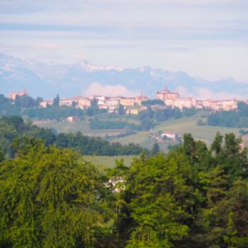 Eine Reise zu den Aromen des Piemont - Wein, Trüffel, Haselnüsse, das Piemont hat kulinarisch viel zu bieten - (c) Jörg Bornmann