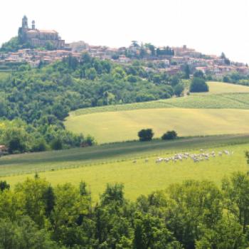 Eine Reise zu den Aromen des Piemont - Wein, Trüffel, Haselnüsse, das Piemont hat kulinarisch viel zu bieten - (c) Jörg Bornmann