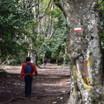 Der Regionalpark Taburno-Camposauro lädt zum Trekking ein - (c) Gabi Vögele