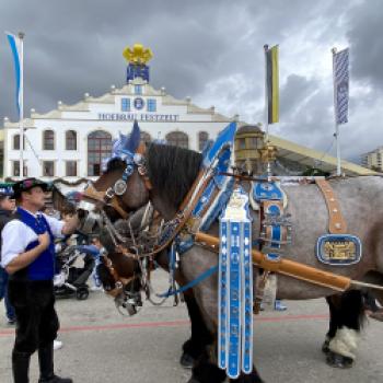 Endlich wieder Wiesn - Oktoberfest 2022 - (c) Gabi Dräger