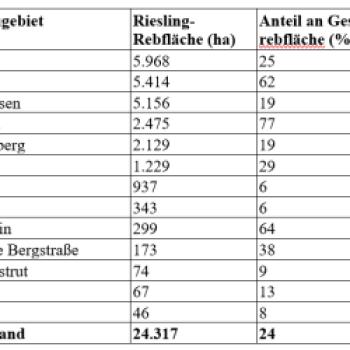 Rieslingreben wurden 2021 auf einer Gesamtfläche von 24.317 Hektar anbaut, das entspricht 24 Prozent der bundesweiten Rebfläche und etwa 40 Prozent der weltweit mit Riesling bestockten Weinberge - (c) DWI