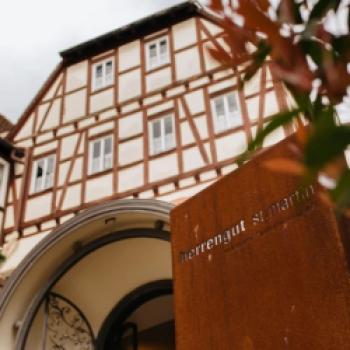 Das Weingut Herrengut aus St. Martin in der Pfalz überzeugte in dem Wettbewerb in der Kategorie „trocken“ mit seinem 2021 Riesling trocken Rhodter Schloßberg - (c) Weingut Herrengut St. Martin