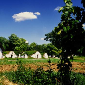 "Rubin Carnuntum", die Visitenkarte der Region - (c) Carnuntum