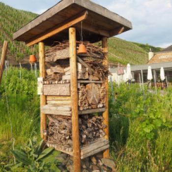 Ähnliches erlebt man im Weingut Kühner-Adam in Mehring an der Mosel - (c) Jörg Bornmann