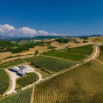 Die Weine von Fonzone – eine besondere Entdeckung, das Weingut aus Kampanien lockt mit autochthonen Rebsorten - (c) Weingut Fonzone