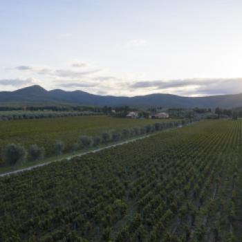 Anima di Arnione: ein exklusives Degustationserlebnis, das „Amphorenprojekt“ als Symbol der Gastfreundschaft auf Campo alla Sughera - (c) Campo alla Sughera