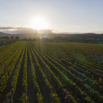 Anima di Arnione: ein exklusives Degustationserlebnis, das „Amphorenprojekt“ als Symbol der Gastfreundschaft auf Campo alla Sughera - (c) Campo alla Sughera