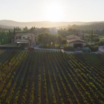 Anima di Arnione: ein exklusives Degustationserlebnis, das „Amphorenprojekt“ als Symbol der Gastfreundschaft auf Campo alla Sughera - (c) Campo alla Sughera