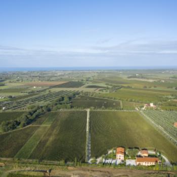 Anima di Arnione: ein exklusives Degustationserlebnis, das „Amphorenprojekt“ als Symbol der Gastfreundschaft auf Campo alla Sughera - (c) Campo alla Sughera