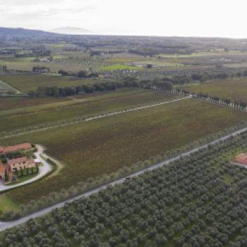 Anima di Arnione: ein exklusives Degustationserlebnis, das „Amphorenprojekt“ als Symbol der Gastfreundschaft auf Campo alla Sughera - (c) Campo alla Sughera