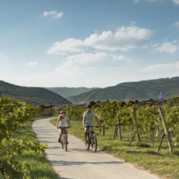 Die Wachau - Kulturlandschaft mit Hingucker und Schmankerl aus Küche und Backstube - (c) Niederösterreich Tourimus