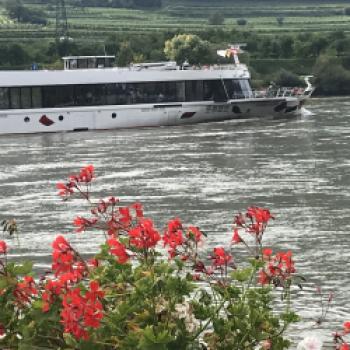 Die Wachau - Kulturlandschaft mit Hingucker und Schmankerl aus Küche und Backstube - (c) Eva-Maria Mayring