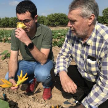 Valencia, die charmante Stadt am Mittelmeer, tischt auf, von Paella bis Haute Cuisine - (c) Eva-Maria Mayring