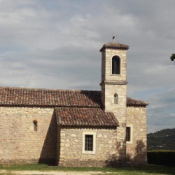 Carmenère aus dem Colli Berici, eine Entdeckung im norden Italiens - (c) Jörg Bornmann 