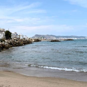 Das Land von Reis, Orangen und Paella - Valencias Umgebung, Albufera, Cullera, Favara, La Palmera, Sueca, Xátiva, kulinarisch entdecken - (c) Gabi Dräger