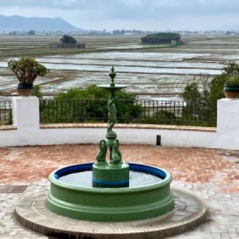 Das Land von Reis, Orangen und Paella - Valencias Umgebung, Albufera, Cullera, Favara, La Palmera, Sueca, Xátiva, kulinarisch entdecken - (c) Gabi Dräger
