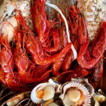 Das Land von Reis, Orangen und Paella - Valencias Umgebung, Albufera, Cullera, Favara, La Palmera, Sueca, Xátiva, kulinarisch entdecken - (c) Gabi Dräger