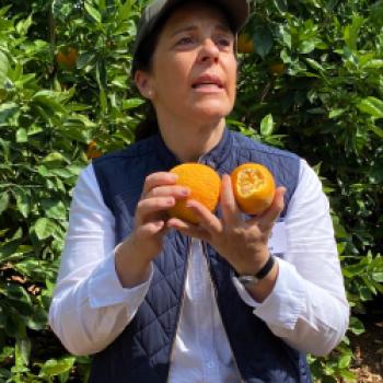 Das Land von Reis, Orangen und Paella - Valencias Umgebung, Albufera, Cullera, Favara, La Palmera, Sueca, Xátiva, kulinarisch entdecken - (c) Gabi Dräger