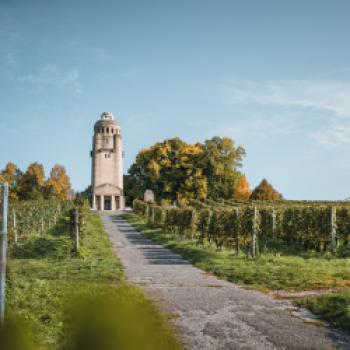 Konstanzer Weinfest 2023 - Weingenuss, Live-Musik, Geselligkeit, Open-Air u.v.m. - (c) MTK / Christoph Partsch