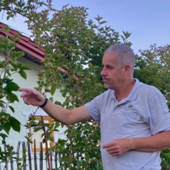 Oase für Pflanzen und Insekten, ein Spaziergang durch die Kindheit im Obst- und Naturgarten in Lohnsburg - (c) Gabi Dräger