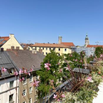 Deutsche Eiche im Gärtnerplatzviertel in München, eine Führung wie ein Theaterstück. Ein Spaziergang durch eine wilde Vergangenheit bis in die Gegenwart - (c) Gabi Dräger