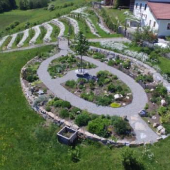 Oase für Pflanzen und Insekten, ein Spaziergang durch die Kindheit im Obst- und Naturgarten in Lohnsburg - (c) Gabi Dräger