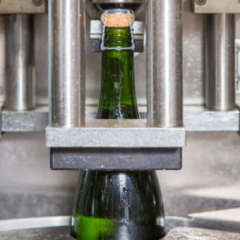 Im südbadischen Auggen stellt die Privat-Sektkellerei Reinecker Sekte her, die sich durchaus mit hochwertigen Champagnern messen lassen können - (c) Privat-Sektkellerei Reinecker GmbH