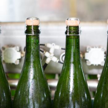 Im südbadischen Auggen stellt die Privat-Sektkellerei Reinecker Sekte her, die sich durchaus mit hochwertigen Champagnern messen lassen können - (c) Privat-Sektkellerei Reinecker GmbH