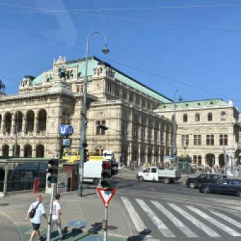 Wien – Fiaker, Mahü, Eitrige und Melange - die Österreichische Hauptstadt lockt mit Kunst, Kaffee und Kulinarik - (c) Gabi Dräger
