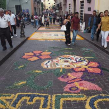 Die Blütenteppiche von Guanajuato - (c) Enric Boixadós