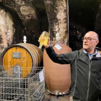 Jung, wild und ungewöhnlich - die Steiermark - (c) Gabi Dräger