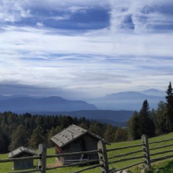 "Der Wald ist das Wohnzimmer von uns allen, das man behüten muss." (Barbara Plunger Untermarzoner) - (c) Peter Dippold 