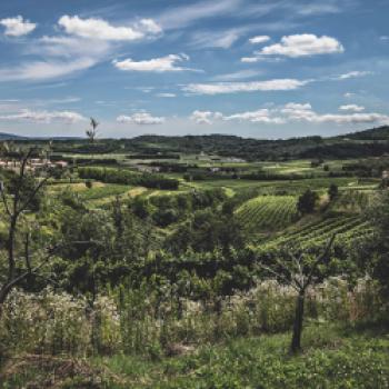 Prosecco DOC - Vom Aperitif bis zum Dessert durch das Festtagsmenü - ein Interview mit Stefano Zanette, Präsident des italienischen Konsortiums Prosecco DOC - (c) Konsortiums Prosecco DOC